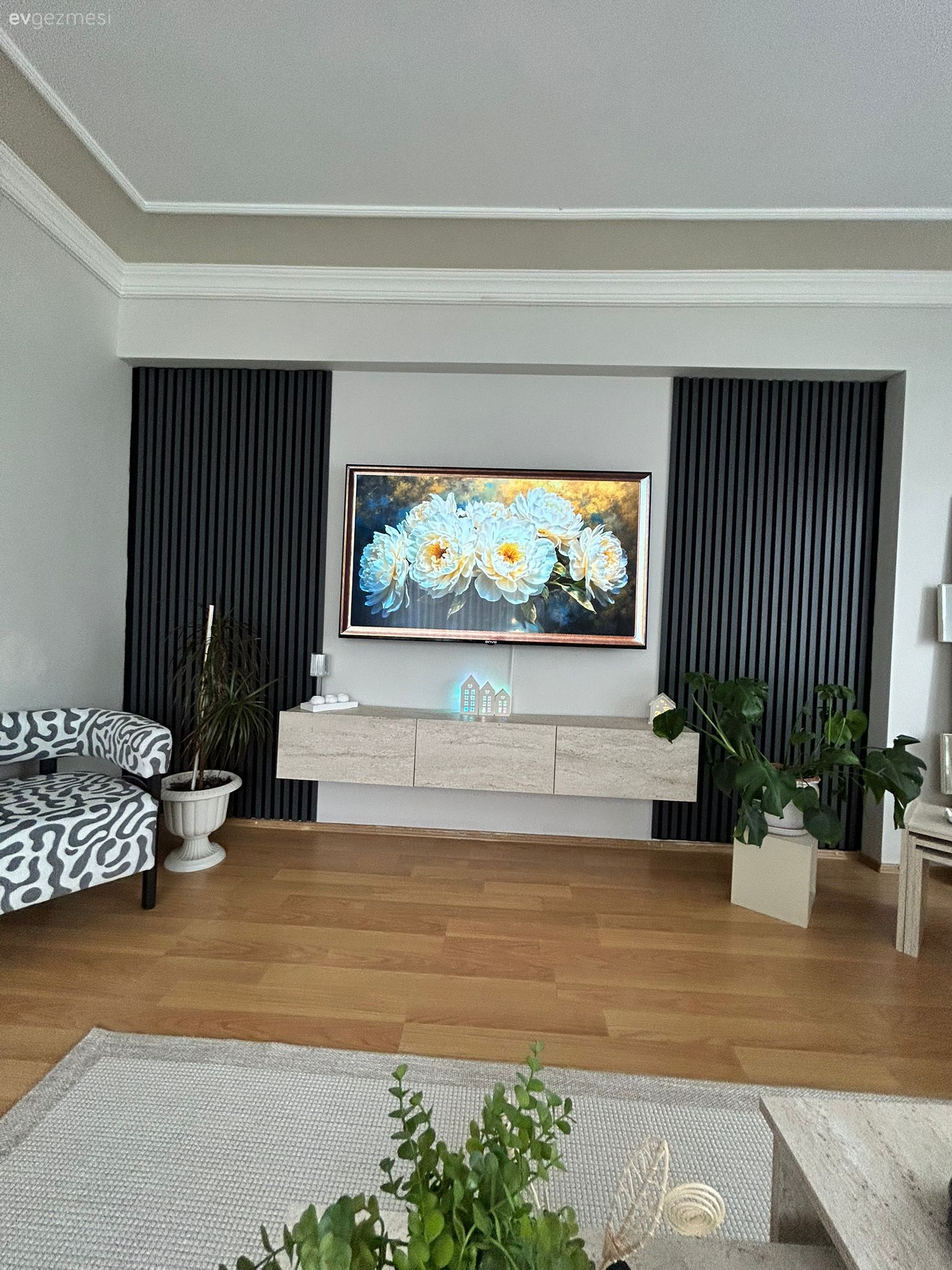 Tv ünitesi, Tv ünitesi aksesuarları, Ev Aksesuar, Berjer, Siyah- Beyaz, Halı, Salon halısı, Yan sehpa, Sehpa, Ev bitkisi