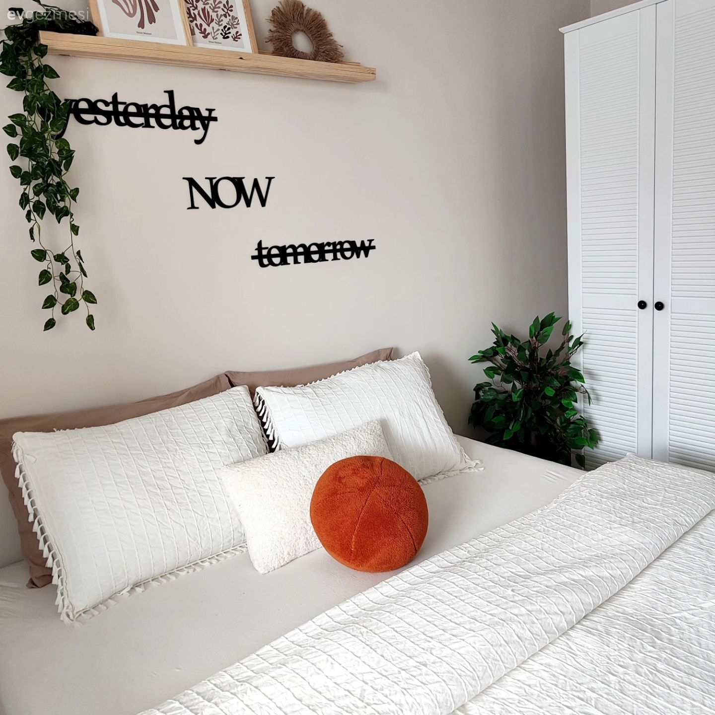 Duvar rafı, Duvar dekorasyonu, Ev bitkisi