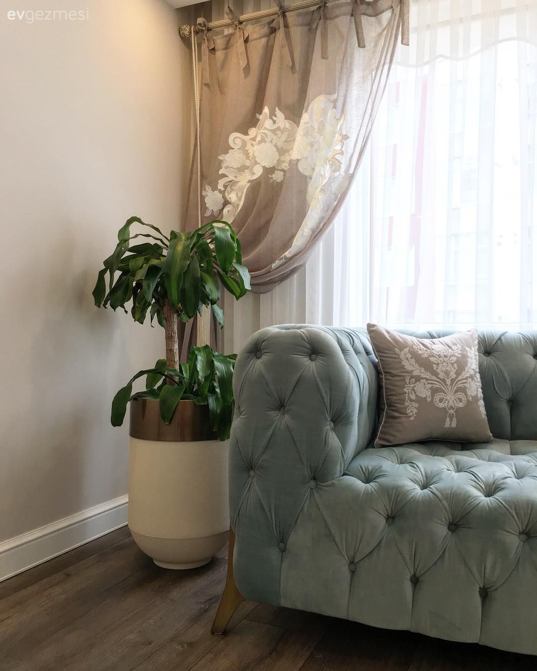 Modern chesterfield, Mavi, Kırlent, Ev bitkisi, Fon perde