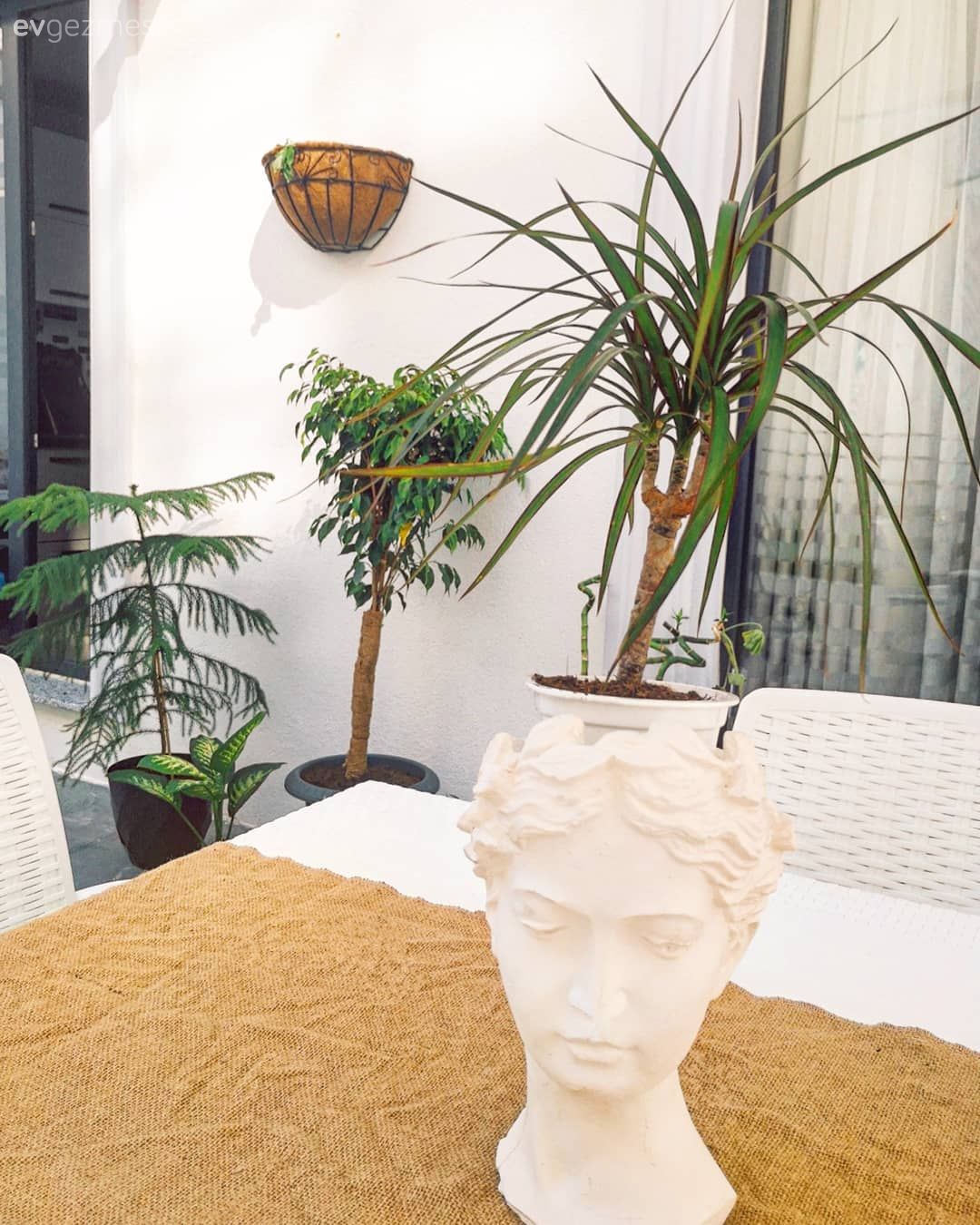 Saksı, Dekoratif Objeler, Ev Aksesuar, Ev bitkisi