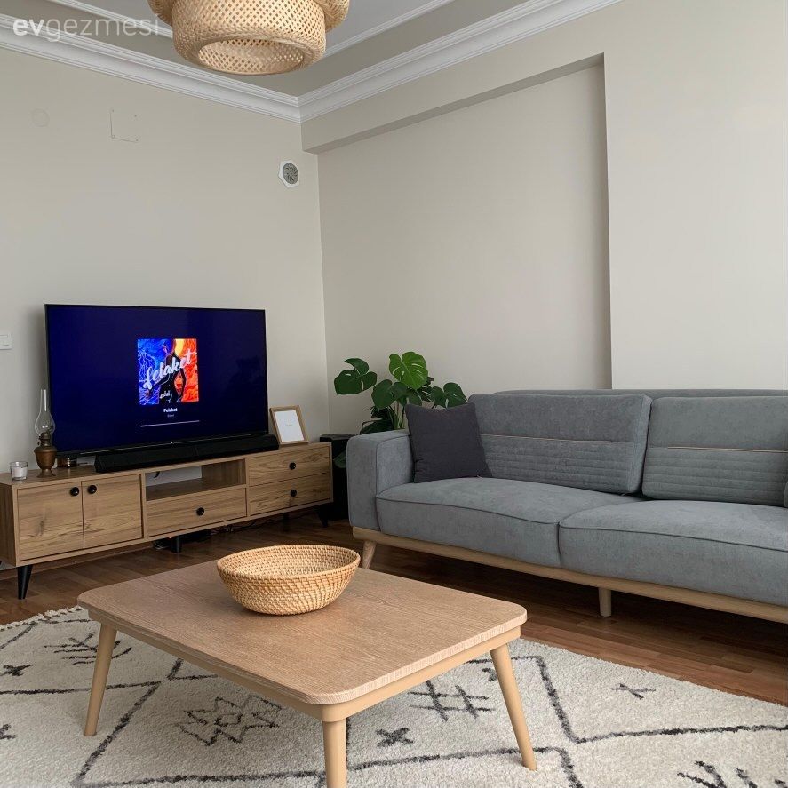 Salon, Gri, Koltuk takımı, Ev bitkisi, Orta sehpa, Sehpa, Halı, Salon halısı, Tv ünitesi, Tv ünitesi aksesuarları, Ev Aksesuar, Hasır avize