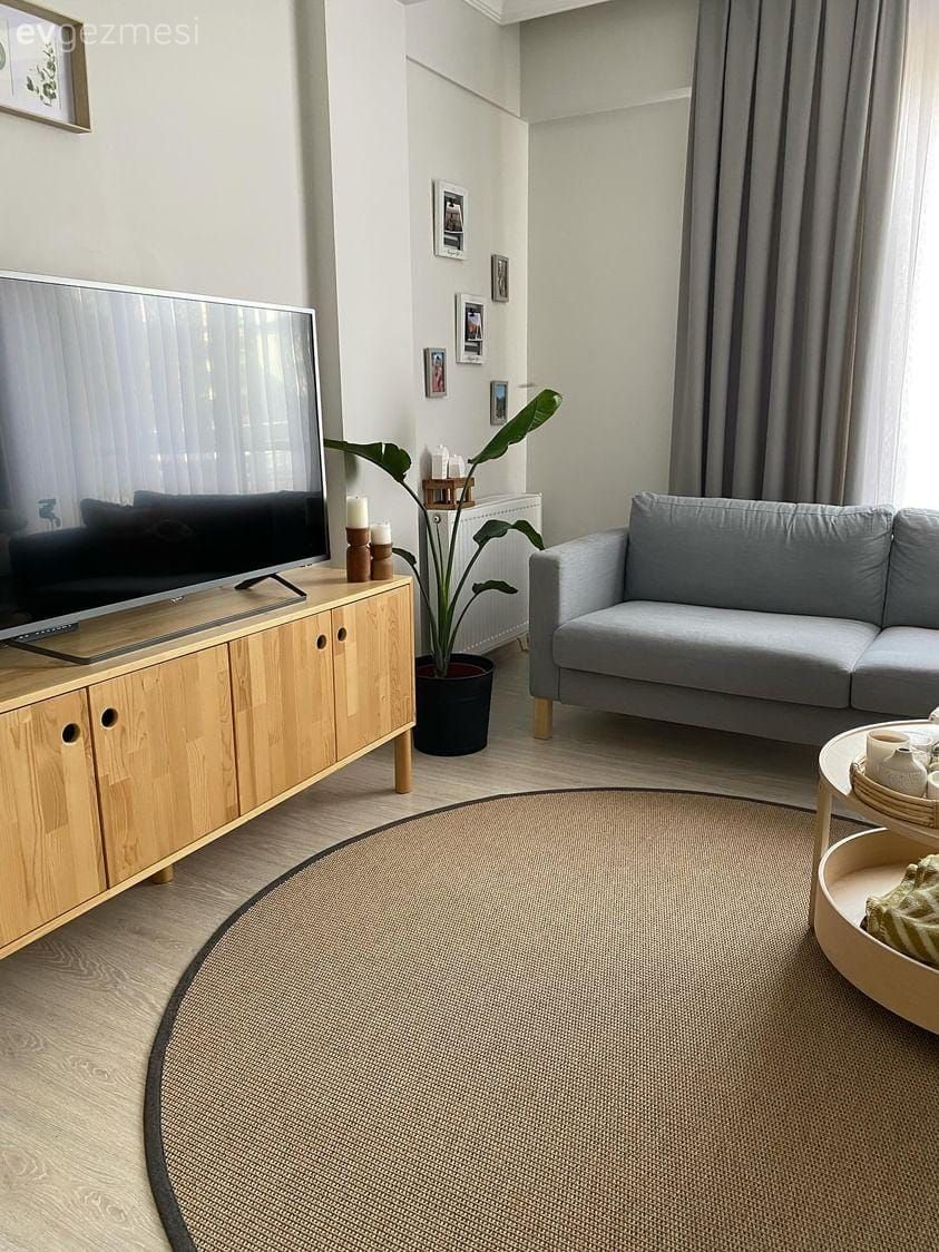 Ahşap Mobilya, Koltuk takımı, Ev bitkisi, Saksı, Fon perde, Perde, Halı, Salon halısı, Orta sehpa, Sehpa, Gri, Tv ünitesi