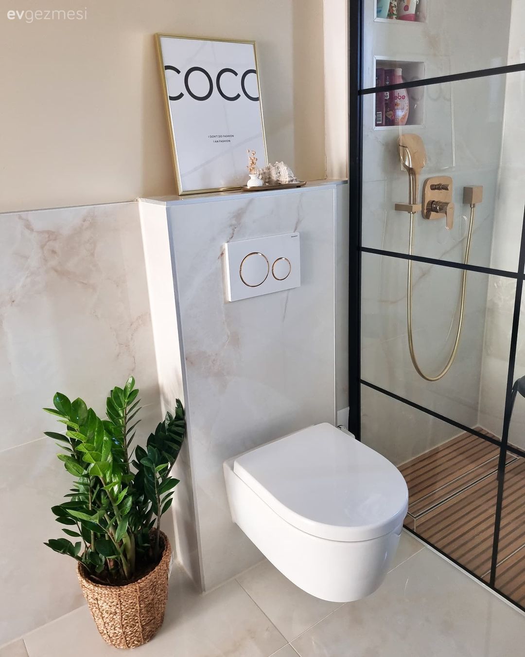 Ev Bitkileri Rehberi: Hangi Bitki Hangi Odaya Uygun?