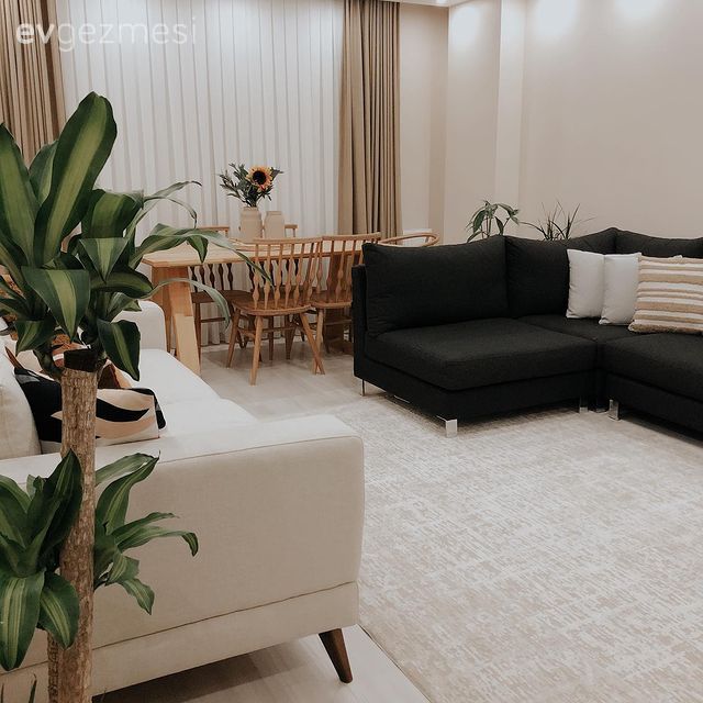 Salon, Bohem Dekorasyon, Krem, Füme, Antrasit  , Köşe koltuk, Koltuk takımı, Kırlent, Ev tekstili, Hasır, Ahşap Mobilya, Sandalye, Mutfak masası, Fon perde, Perde, Tül perde, Halı, Salon halısı, Ev bitkisi