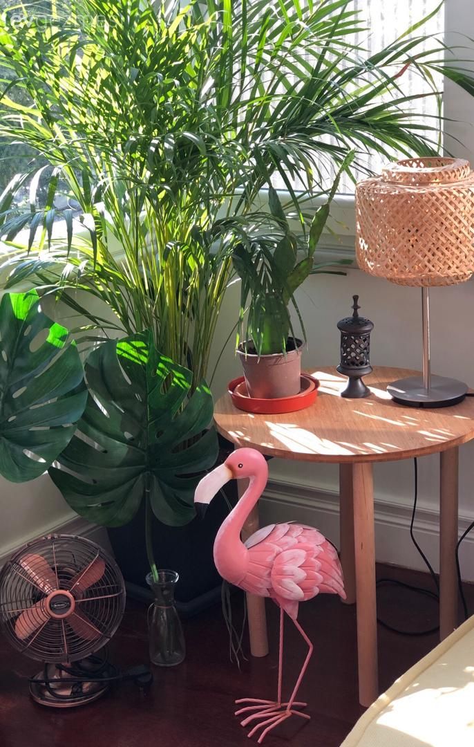 Yan sehpa, Sehpa, Ev bitkisi, Sehpa üstü aksesuarı, Ev Aksesuar