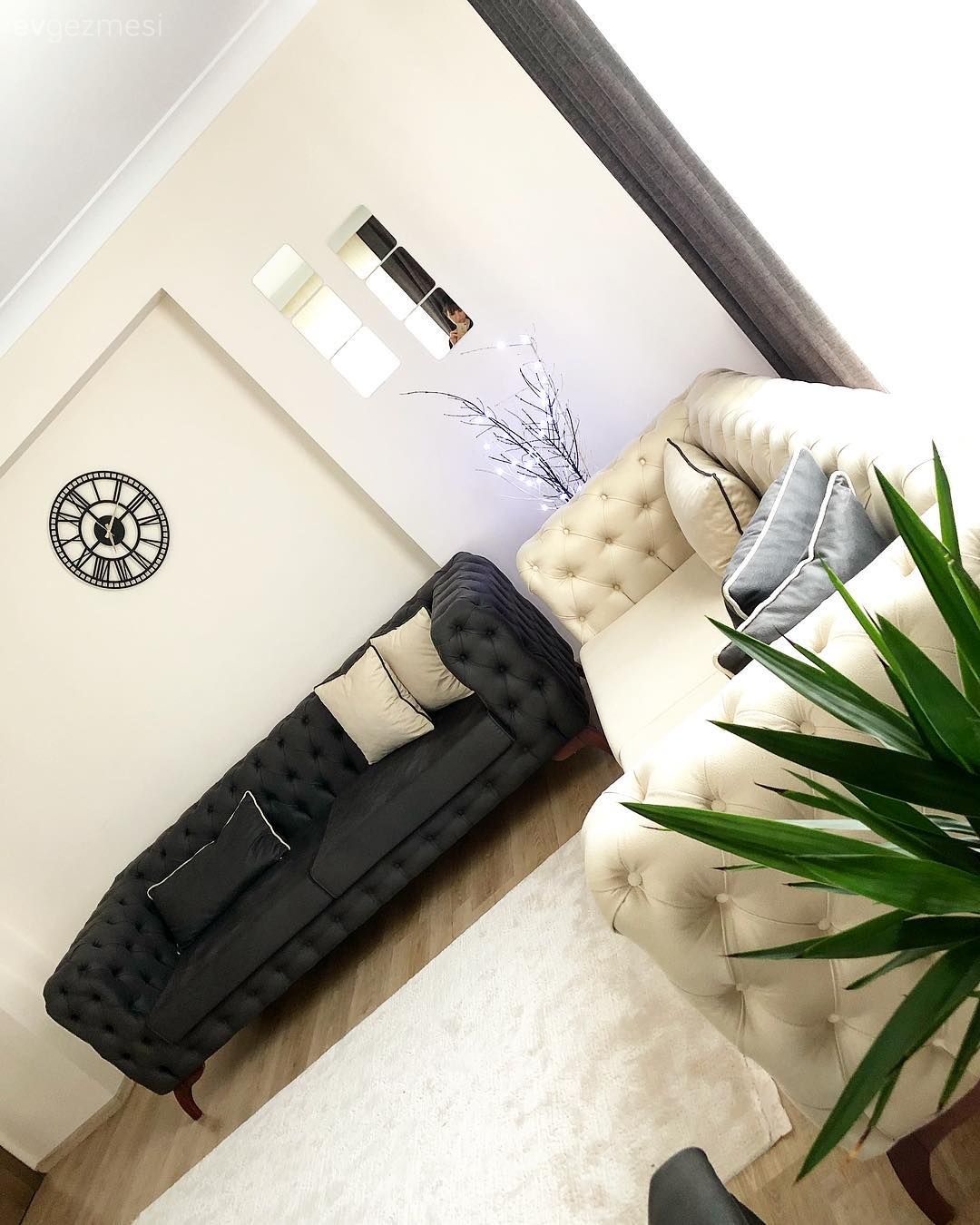 Modern klasik, Krem, Füme, Salon halısı, Salon, Halı, Metal duvar saati, Ev bitkisi, Yapay çiçekler, Fon perde, Modern chesterfield