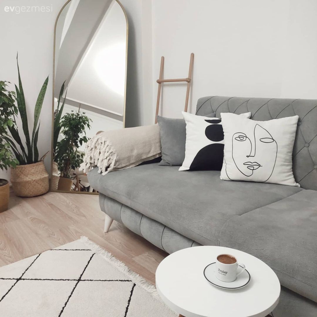 Boy aynası, Ayna, Saksı, Ev bitkisi, Koltuk takımı, Gri, Beyaz, Kırlent, Ev tekstili, Halı, Salon halısı