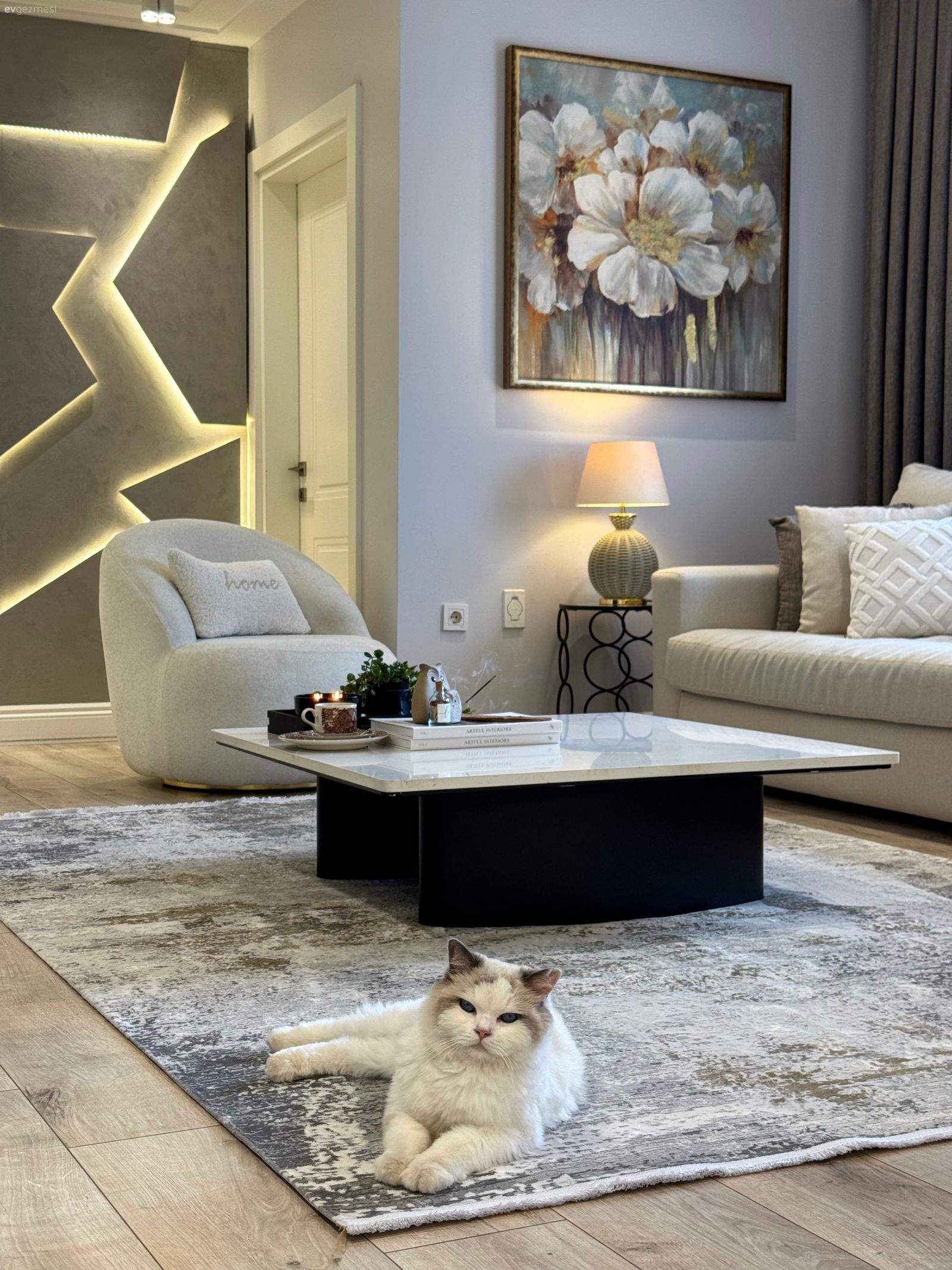 Salon, Modern, Krem, Bej, Beyaz, Siyah, Koltuk takımı, Fon perde, Perde, Tül perde, Orta sehpa, Sehpa, Halı, Salon halısı, Duvar dekorasyonu, Tablo, Parke, Abajur, Aydınlatma, Spot aydınlatma, Berjer