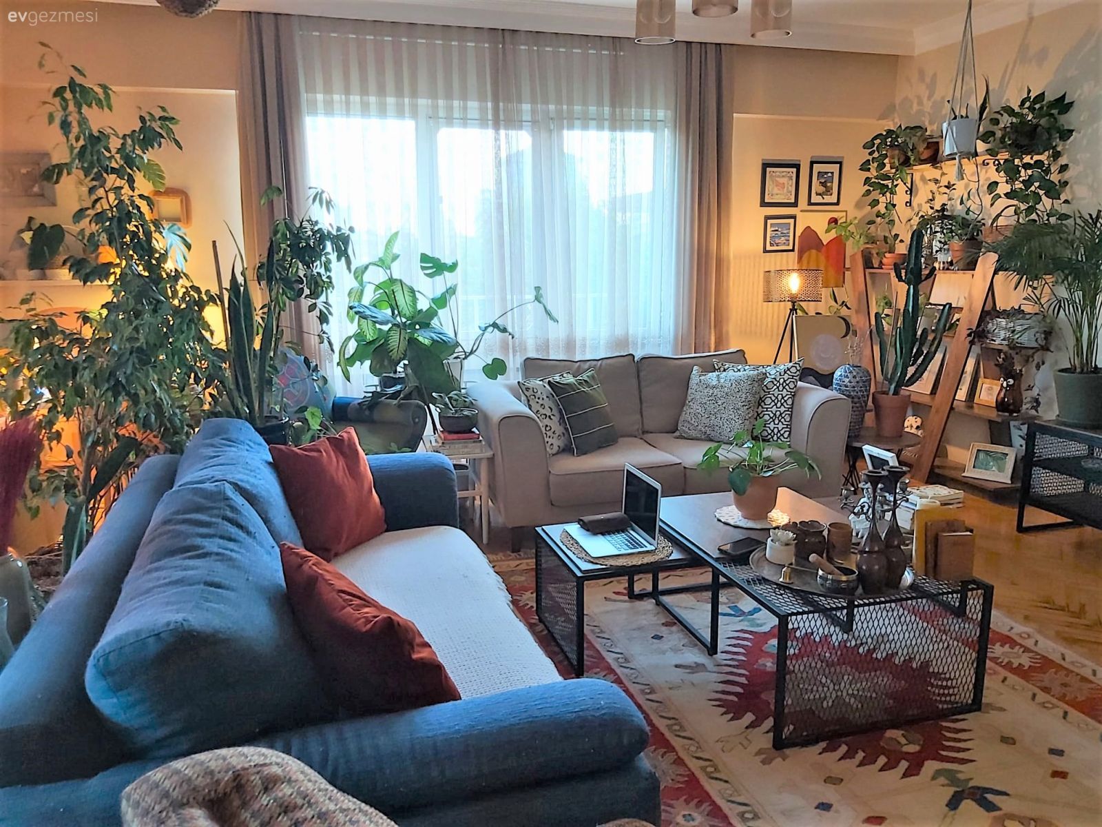 Salon, Bohem Dekorasyon, Mavi, Beyaz, Koltuk takımı, Ev bitkisi, Kırlent, Ev tekstili, Orta sehpa, Sehpa, Halı, Salon halısı, Tül perde, Perde, Turuncu