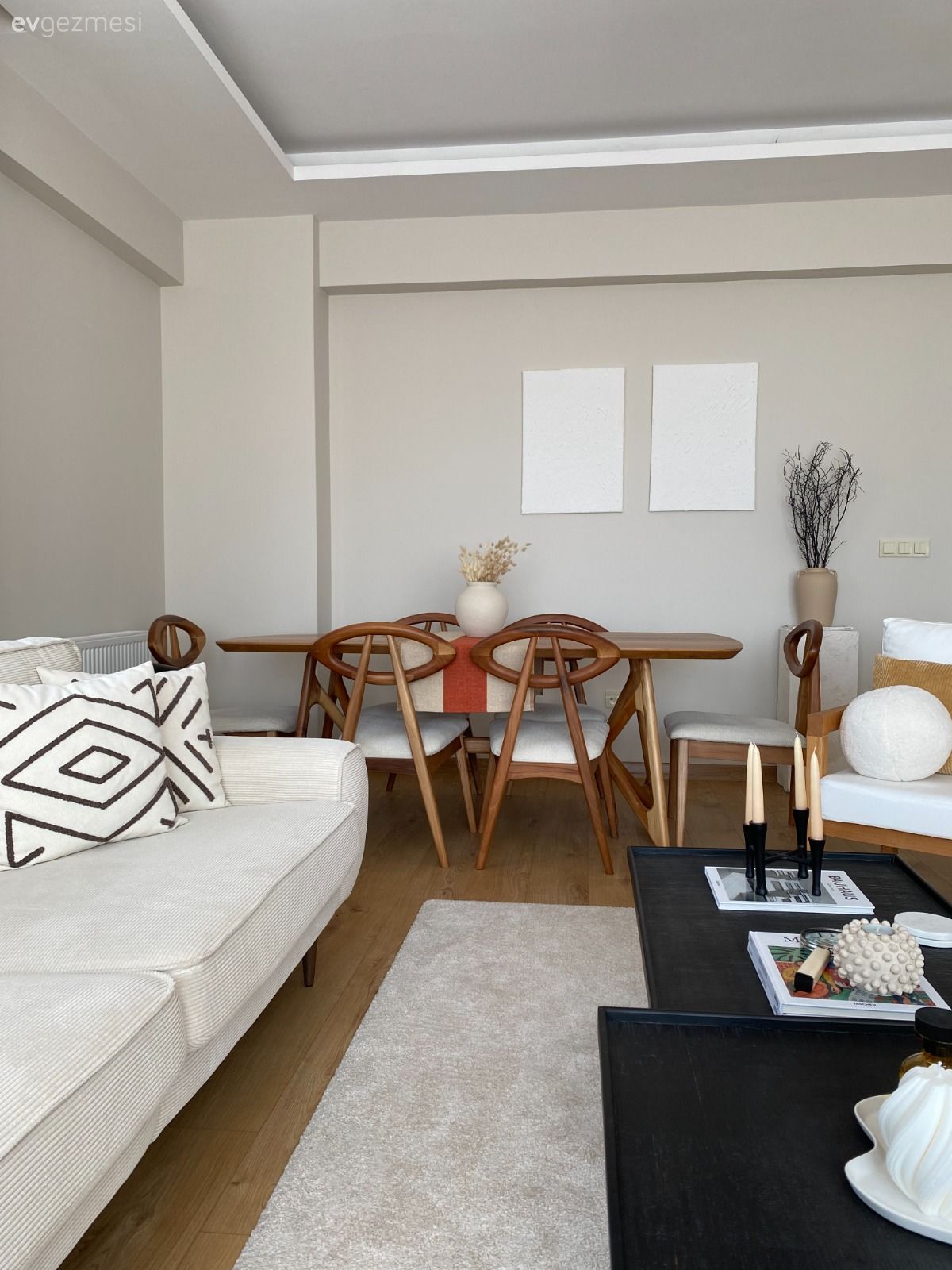 Salon, Modern, Bohem Dekorasyon, Beyaz, Krem, Siyah, Bej, Koltuk takımı, Halı, Salon halısı, Sandalye, Yemek masası, Berjer, Orta sehpa, Sehpa, Kırlent, Ev tekstili, Ev bitkisi, Saksı