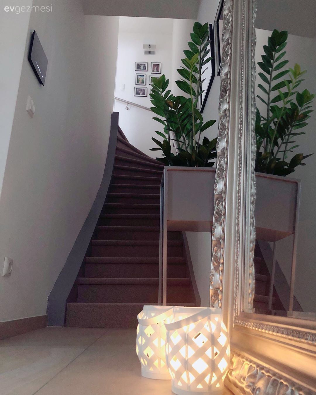 Antre, Mumluk, Ev Aksesuar, Boy aynası, Ayna, Metal ayaklı sehpa, Sehpa, Ev bitkisi, Merdiven