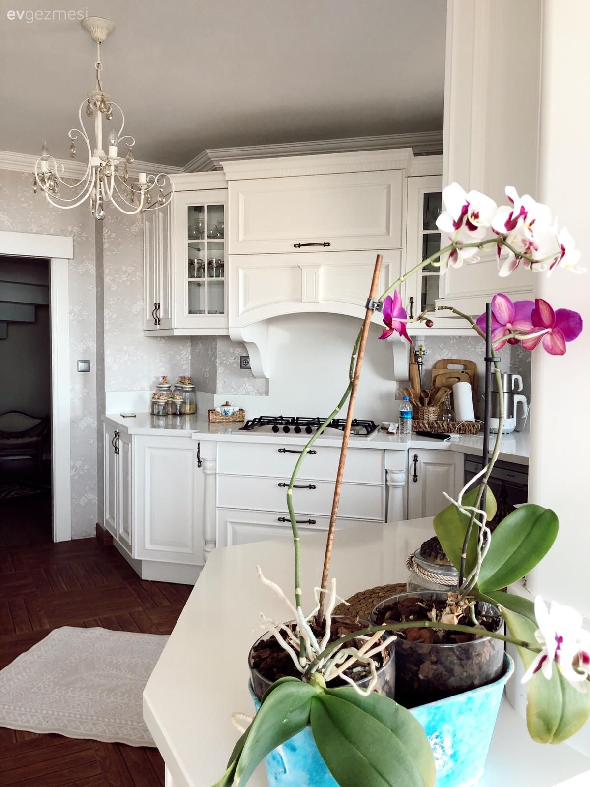 Bu Trabzon Mutfağında Pişen Her Yemek Provensel Stille Tatlanıyor