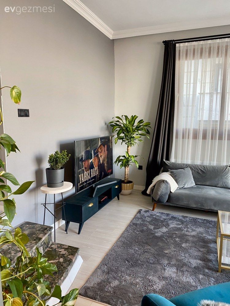 Salon, Modern, Gri, Fon perde, Perde, Tül perde, Beyaz, Ev bitkisi, Tv ünitesi, Tv ünitesi aksesuarları, Ev Aksesuar, Halı, Salon halısı, Kırlent, Ev tekstili, Orta sehpa, Sehpa, Cam orta sehpa