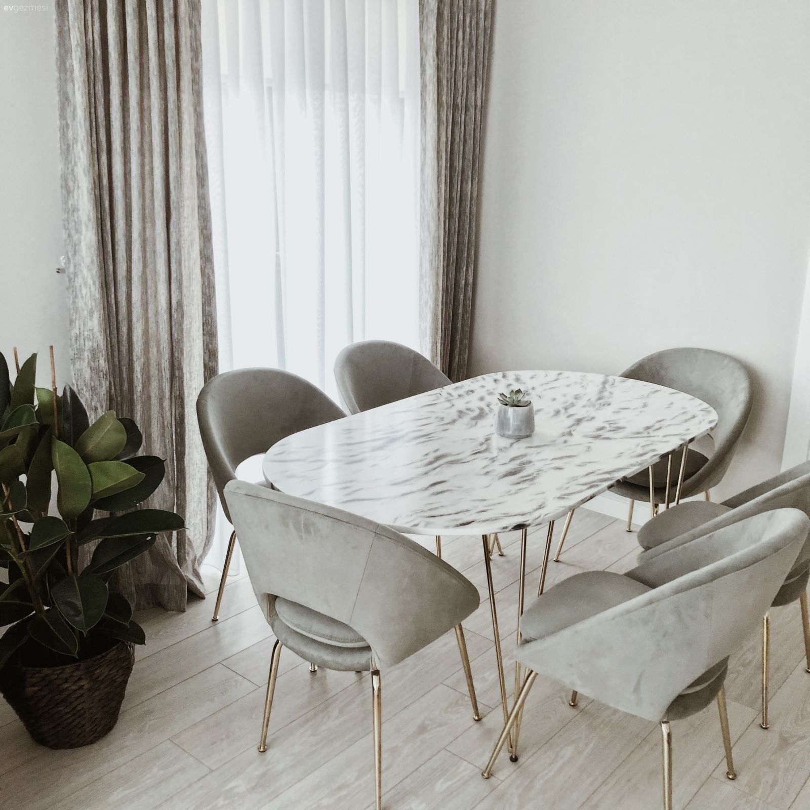 Yemek Odası, Modern, Yeşil, Beyaz, Altın, Fon perde, Perde, Tül perde, Saksı, Ev bitkisi, Yemek masası, Sandalye