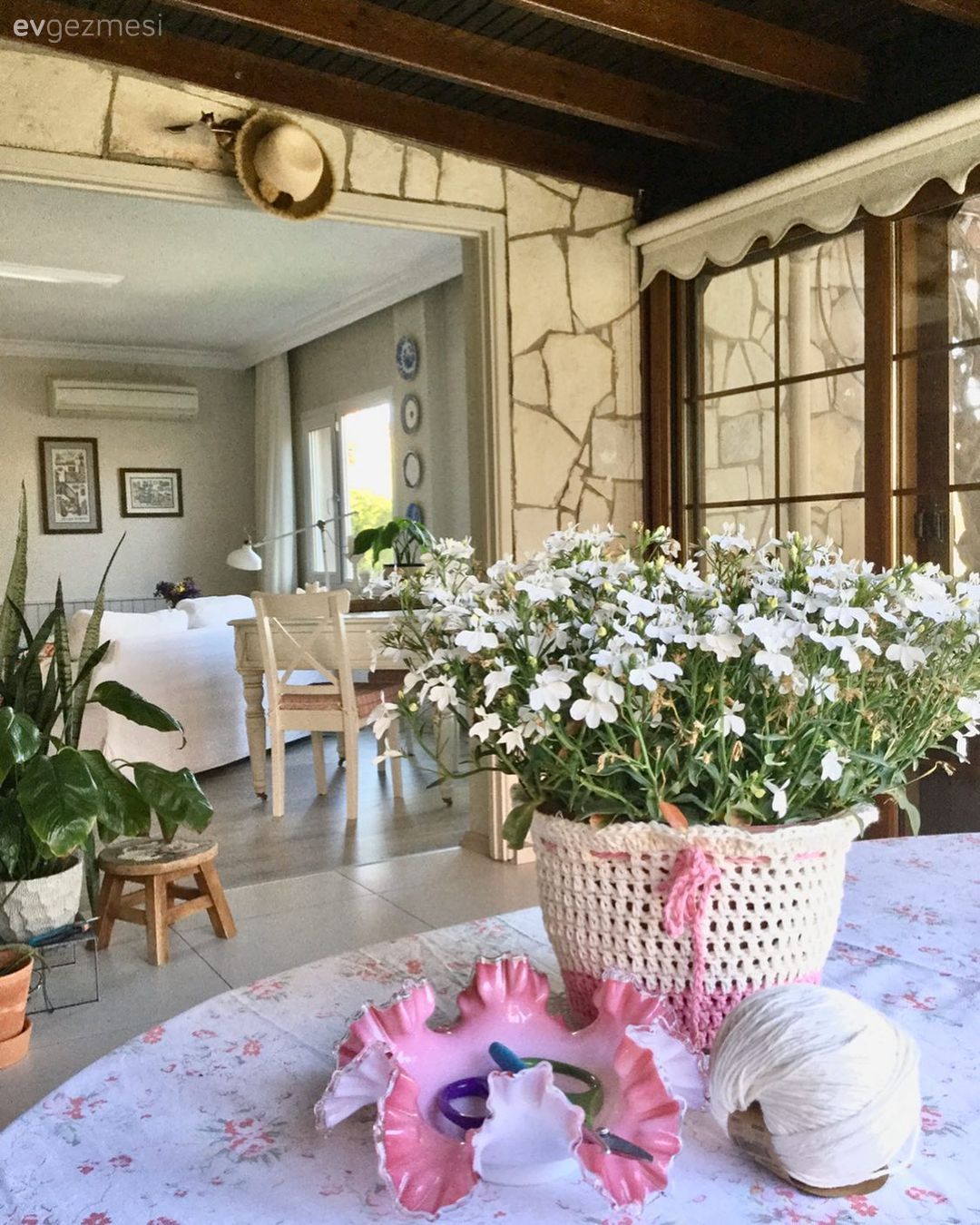 Müstakil Ev, Kış bahçesi, Salon, Tavan dekorasyon, Ev bitkisi