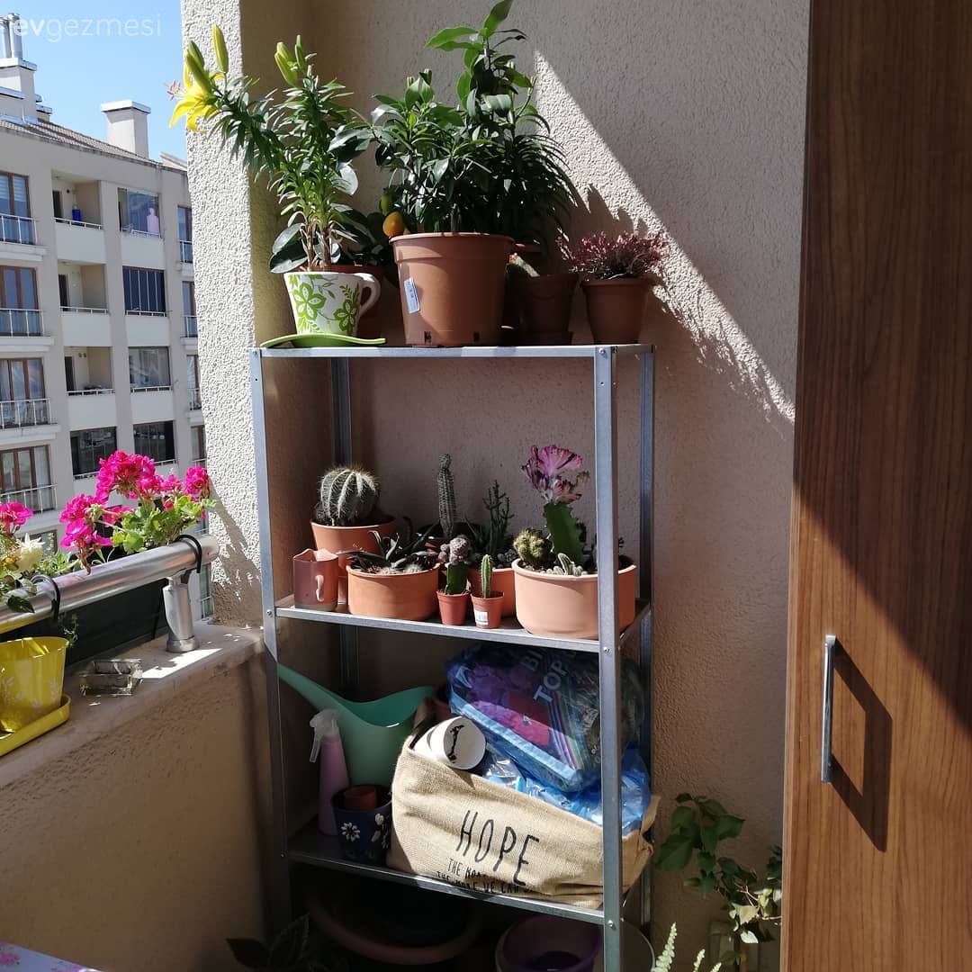 Balkon, Balkon çiçekleri, Açık raf, Duvar rafı