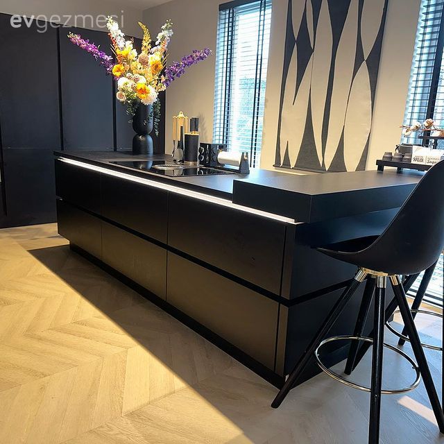 Mutfak, Siyah mutfak, Amerikan Mutfak, Sandalye, Ada mutfak, Parke, Mutfak aksesuarları