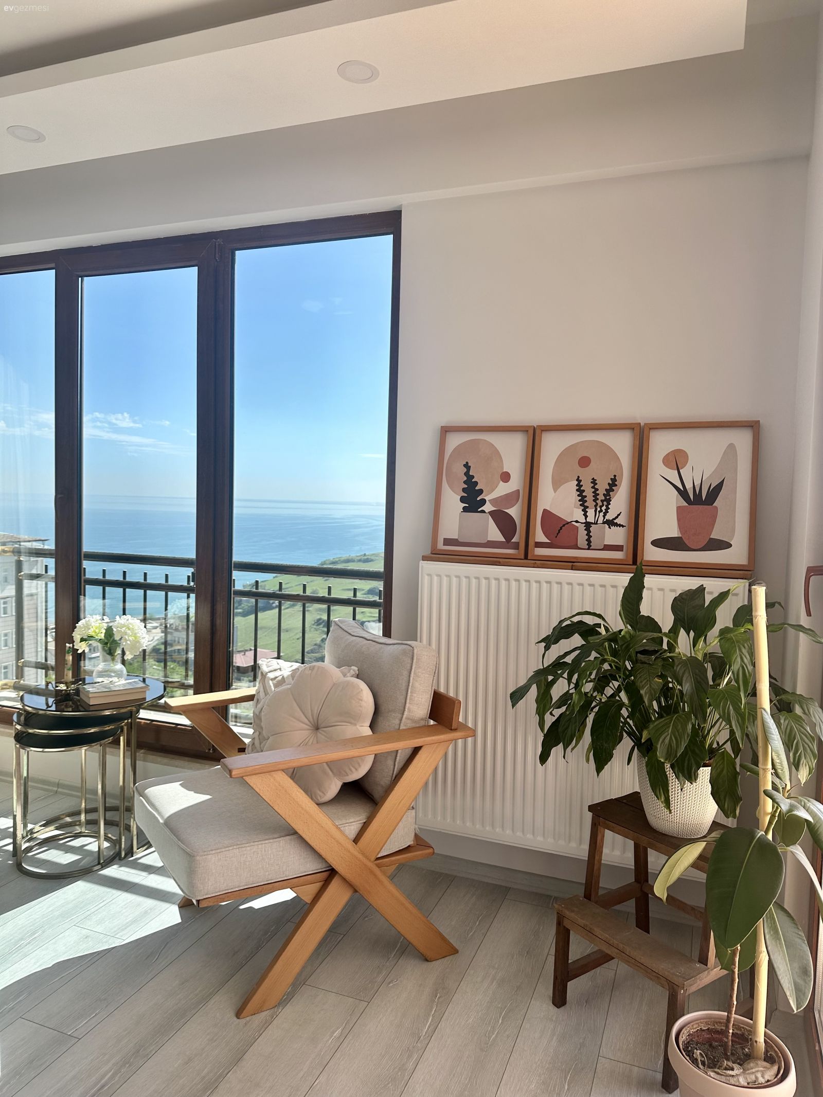 İskandinav, Beyaz, Berjer, Ev bitkisi, Saksı