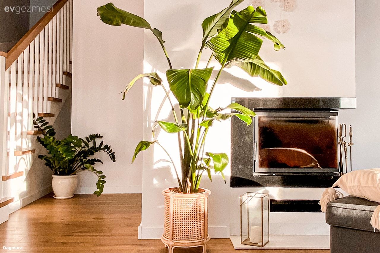 Müstakil Ev Modelleri: 190 M2 Balkonlu Dubleks Villa!