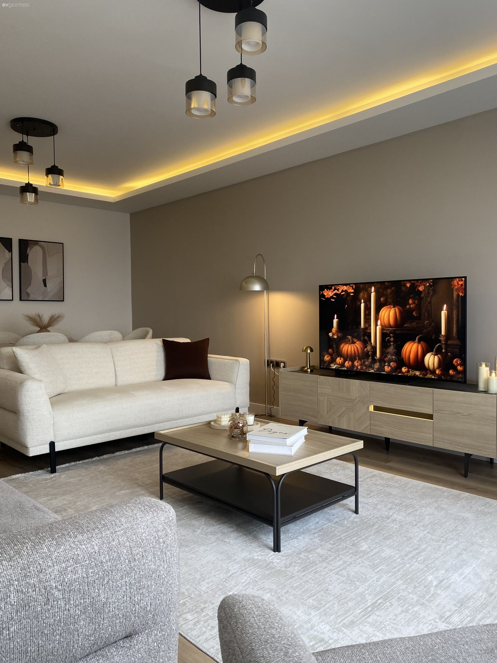 Salon, Modern, Beyaz, Gri, Tv ünitesi, Tv ünitesi aksesuarları, Ev Aksesuar, Koltuk takımı, Avize, Aydınlatma, Orta sehpa, Sehpa, Tablo, Duvar dekorasyonu, Led aydınlatma, Halı, Beyaz halı