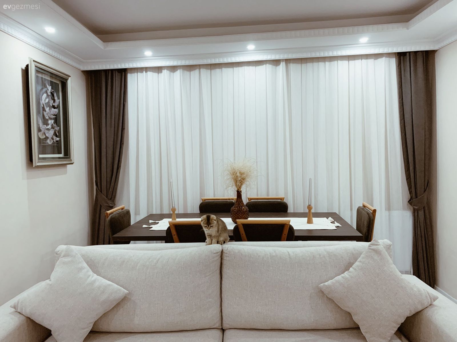 Salon, Beyaz, Kahverengi, Krem, Koltuk takımı, Sandalye, Yemek masası, Fon perde, Perde, Tül perde, Tablo, Duvar dekorasyonu, Spot aydınlatma, Aydınlatma