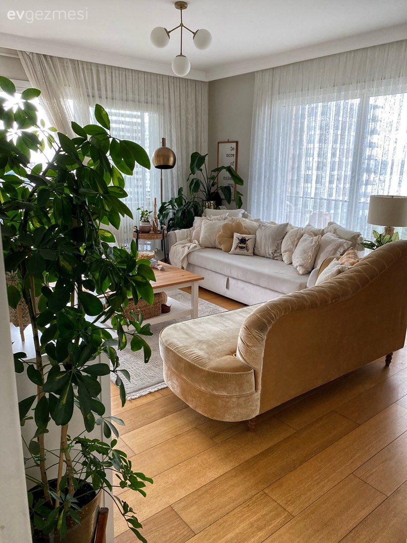 Sıcak Atmosferiyle Merhaba Diyen Bu Ev Bitkilere Aşık!