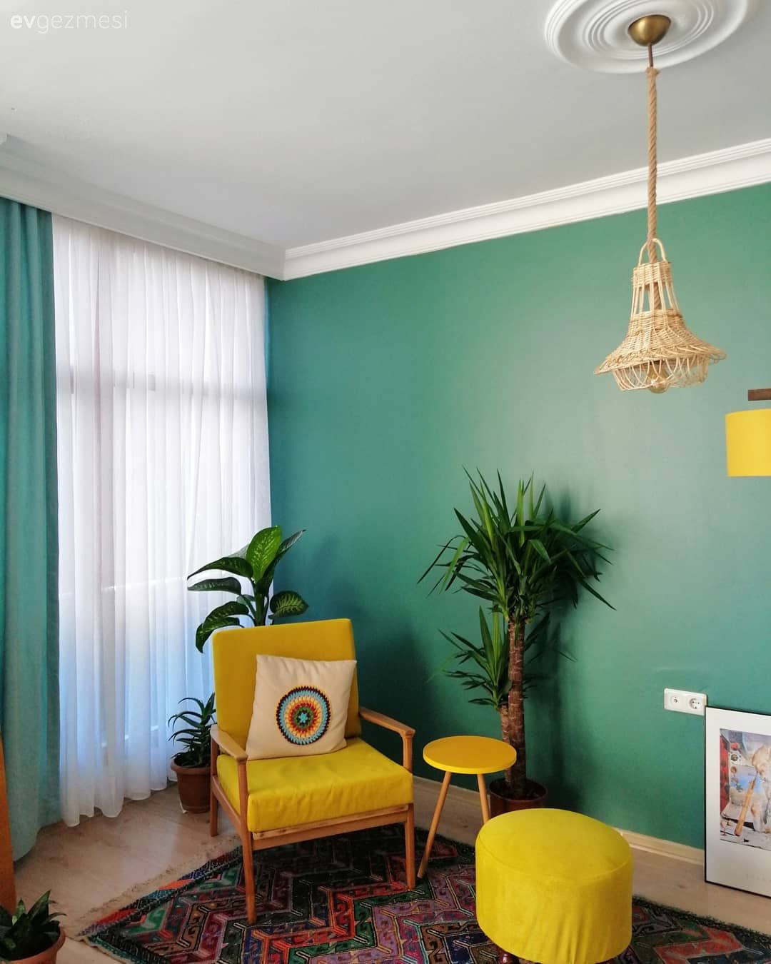 Salon, Mavi, Beyaz, Sarı, Mavi duvar, Berjer, Puf, Ev bitkisi, Tül perde, Perde, Avize, Aydınlatma, Salon avizesi
