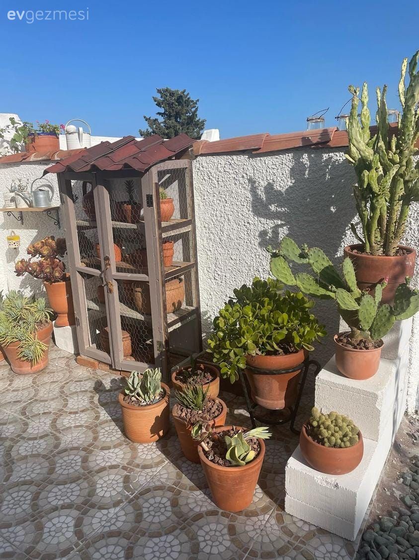 Denize Bakan Bu Teras Bolca Emek Sonunda Bu Hâle Gelmiş!