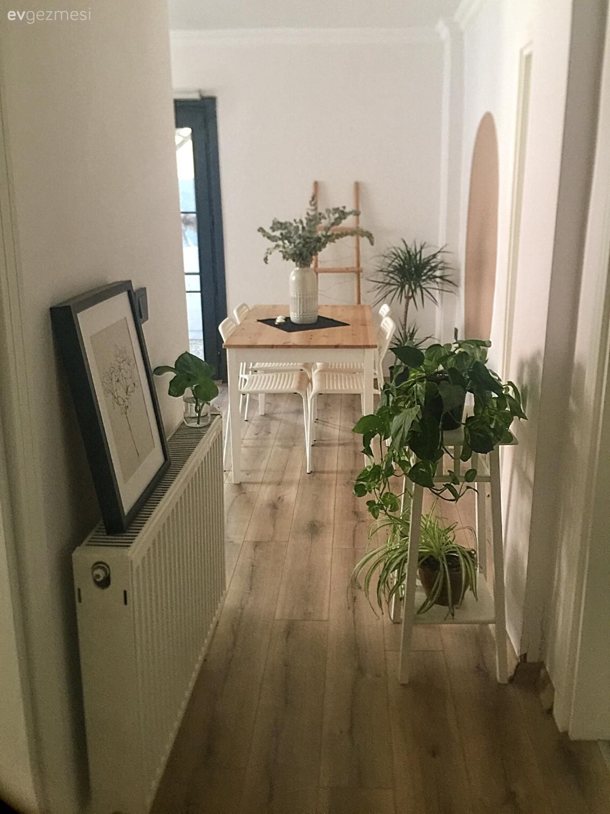 Antre, Beyaz, Ahşap Mobilya, Ev bitkisi, Yemek masası, Sandalye, Parke, Tablo, Duvar dekorasyonu