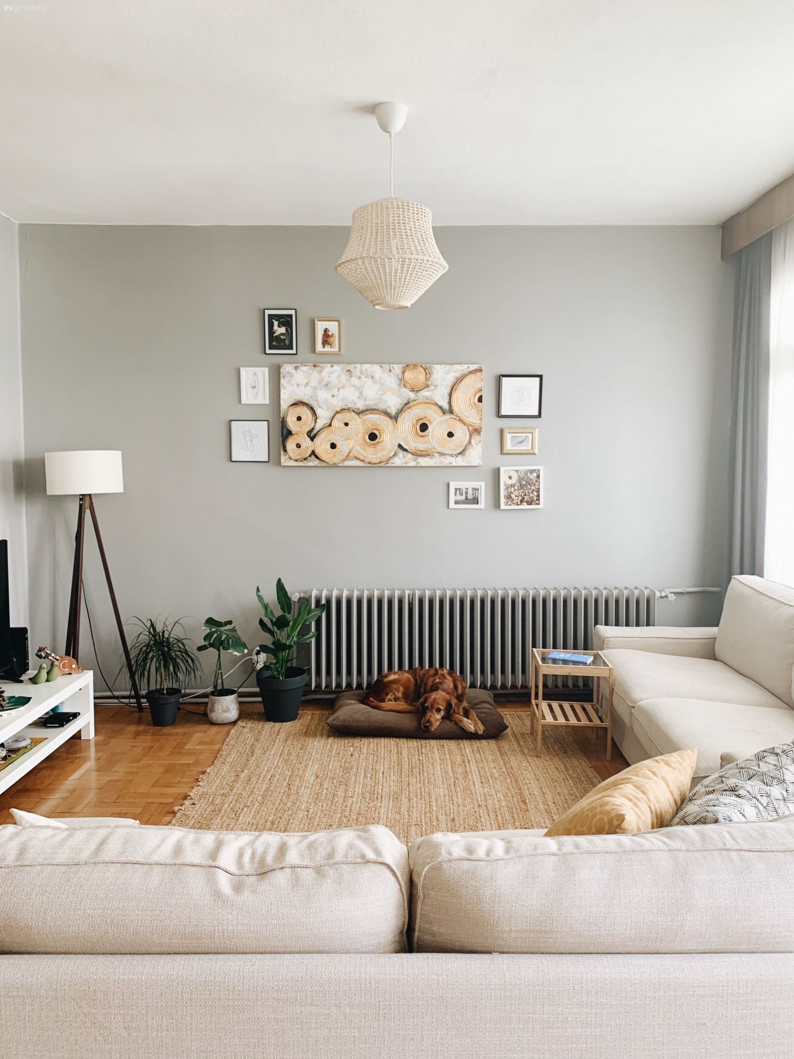 Salon, Bohem Dekorasyon, Bej, Vizon, Jüt halı, Halı, Koltuk takımı, Ev bitkisi, Lambader, Aydınlatma, Tv ünitesi, Tv ünitesi aksesuarları, Ev Aksesuar, Tablo, Duvar dekorasyonu, Çerçeve, Kırlent, Ev tekstili