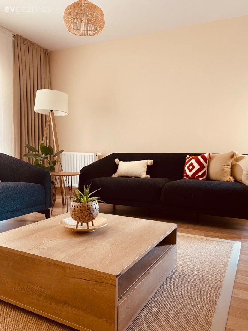 Siyah, Füme, Koltuk takımı, Krem, Bej, Kırlent, Ev tekstili, Tül perde, Perde, Fon perde, Orta sehpa, Sehpa, Halı, Salon halısı, Lambader, Aydınlatma, Hasır avize, Desenler