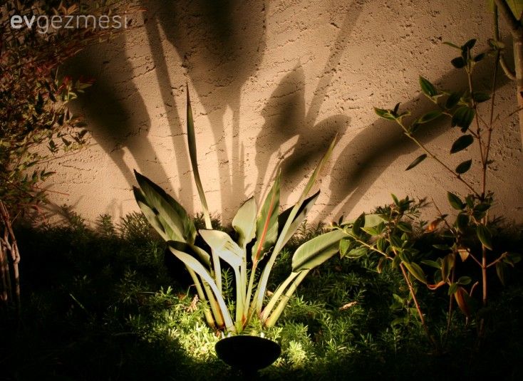 Bahçe Aydınlatması Nasıl Olmalı? 30+ Farklı Fikir