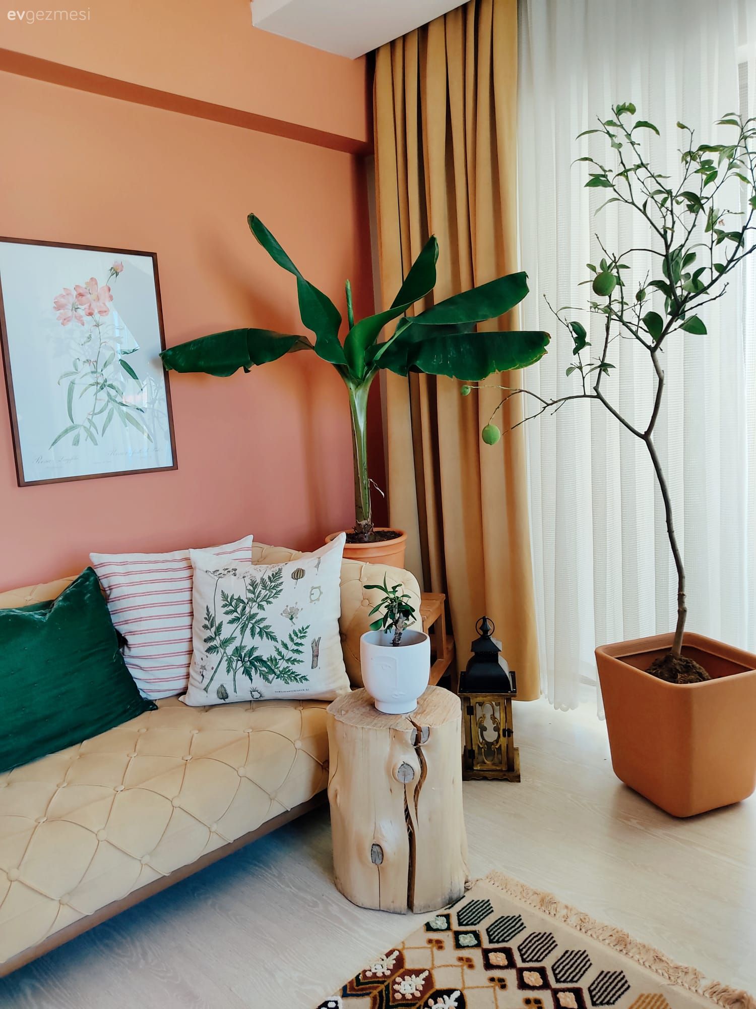 Salon, Bohem Dekorasyon, Hardal, Turuncu duvar rengi, Krem, Beyaz, Fon perde, Perde, Tül perde, Kırlent, Ev tekstili, Yan sehpa, Sehpa, Ev bitkisi, Halı