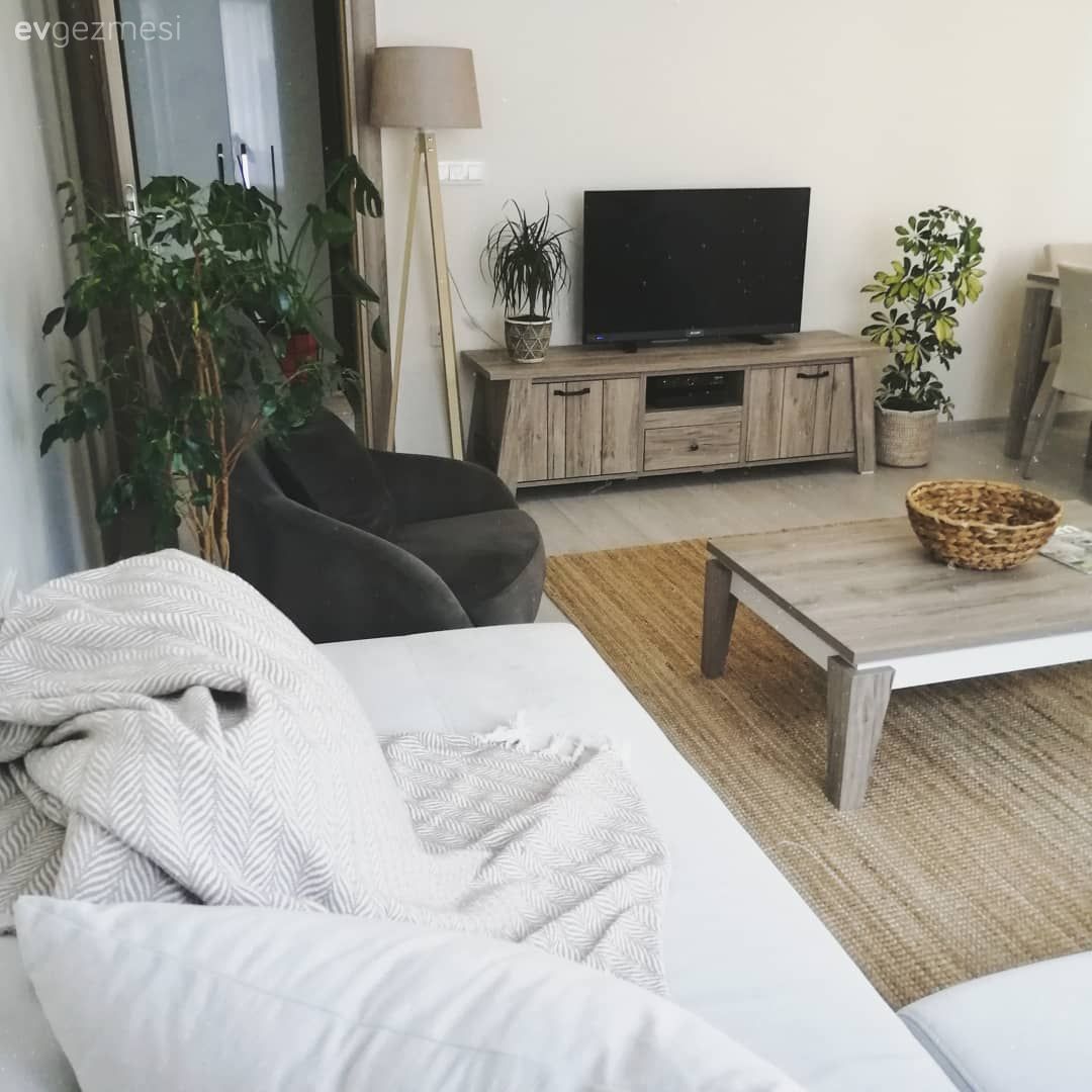 Ev Gezmesi: Başrolü Bitkilerin Kaptığı Keyifli Bir Salon