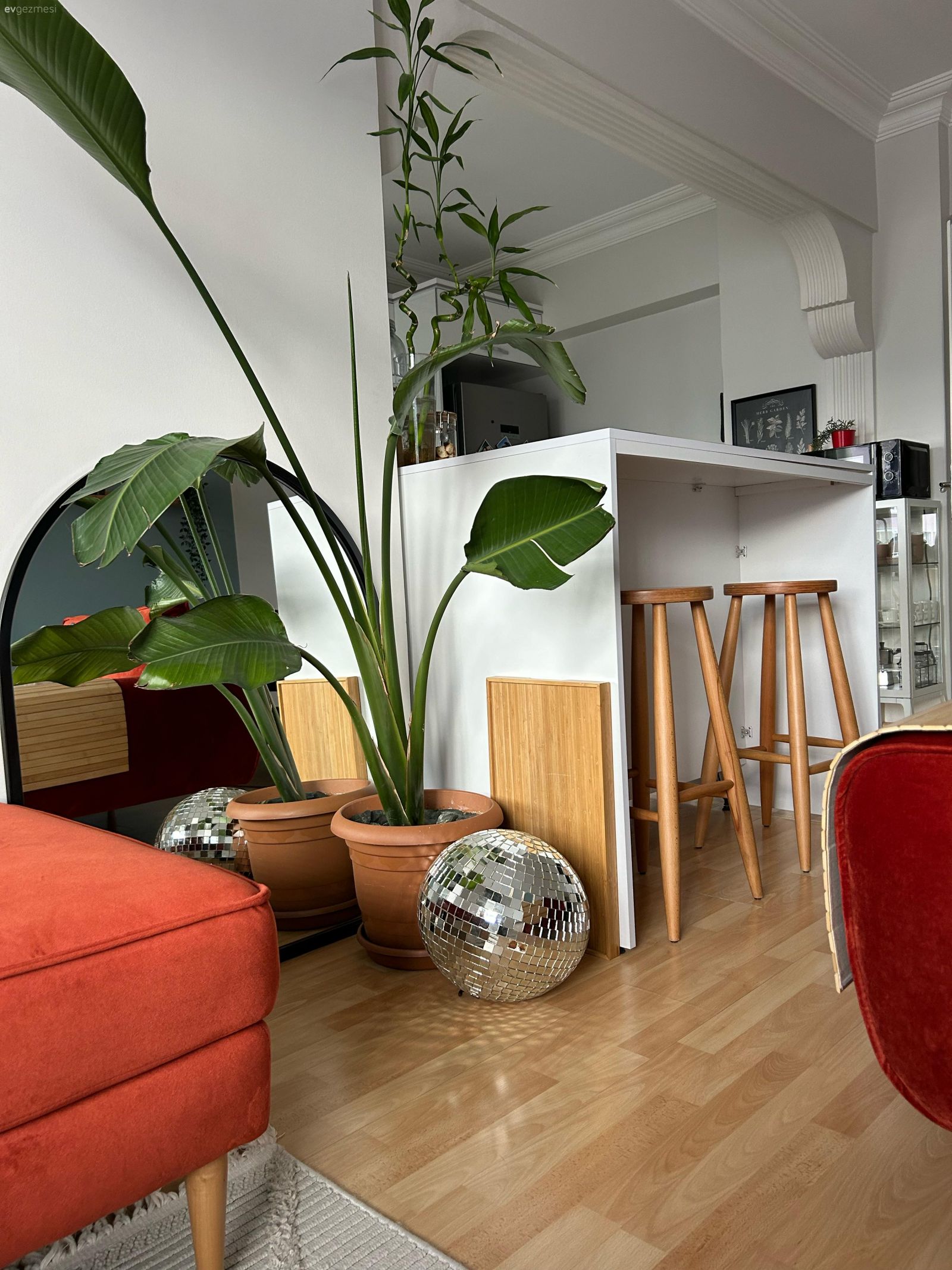 Saksı, Ev bitkisi, Ayna, Puf, Turuncu, Bej, Ahşap Mobilya