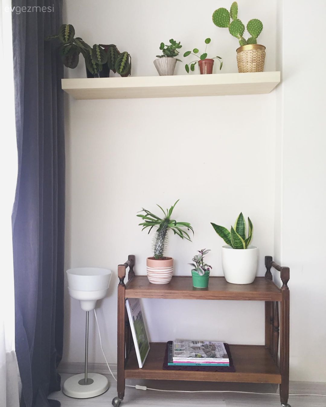 Salon, Sehpa, Fon perde, Perde, Tül perde, Beyaz, Gri, Kaktüs, Ev bitkisi, Saksı, Duvar rafı, Duvar dekorasyonu