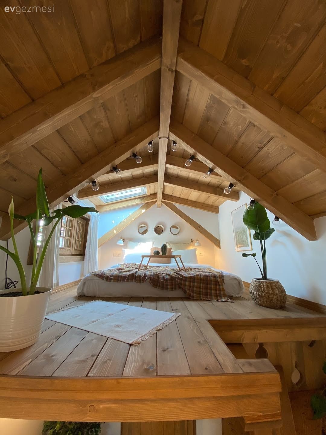 Tiny house, Ahşap ev