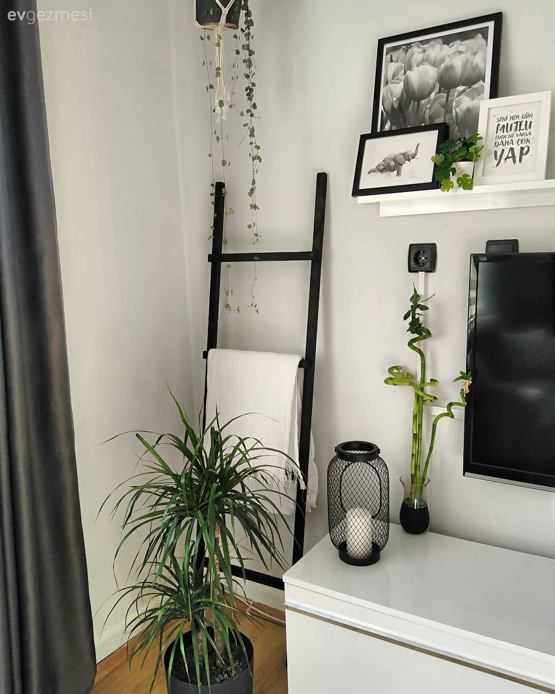 Dekoratif merdiven, Ev bitkisi, Duvar rafı, Duvar dekorasyonu, Tv ünitesi, Tv ünitesi aksesuarları, Ev Aksesuar, Fon perde, Perde, Çerçeve