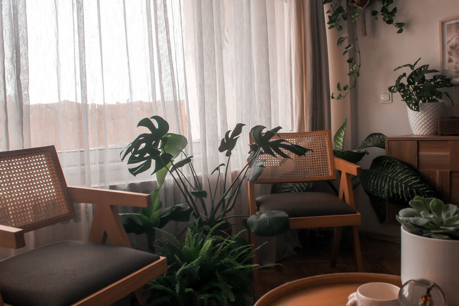 Berjer, Vizon, Kahverengi, Ahşap Mobilya, Tül perde, Perde, Ev bitkisi, Orta sehpa, Sehpa