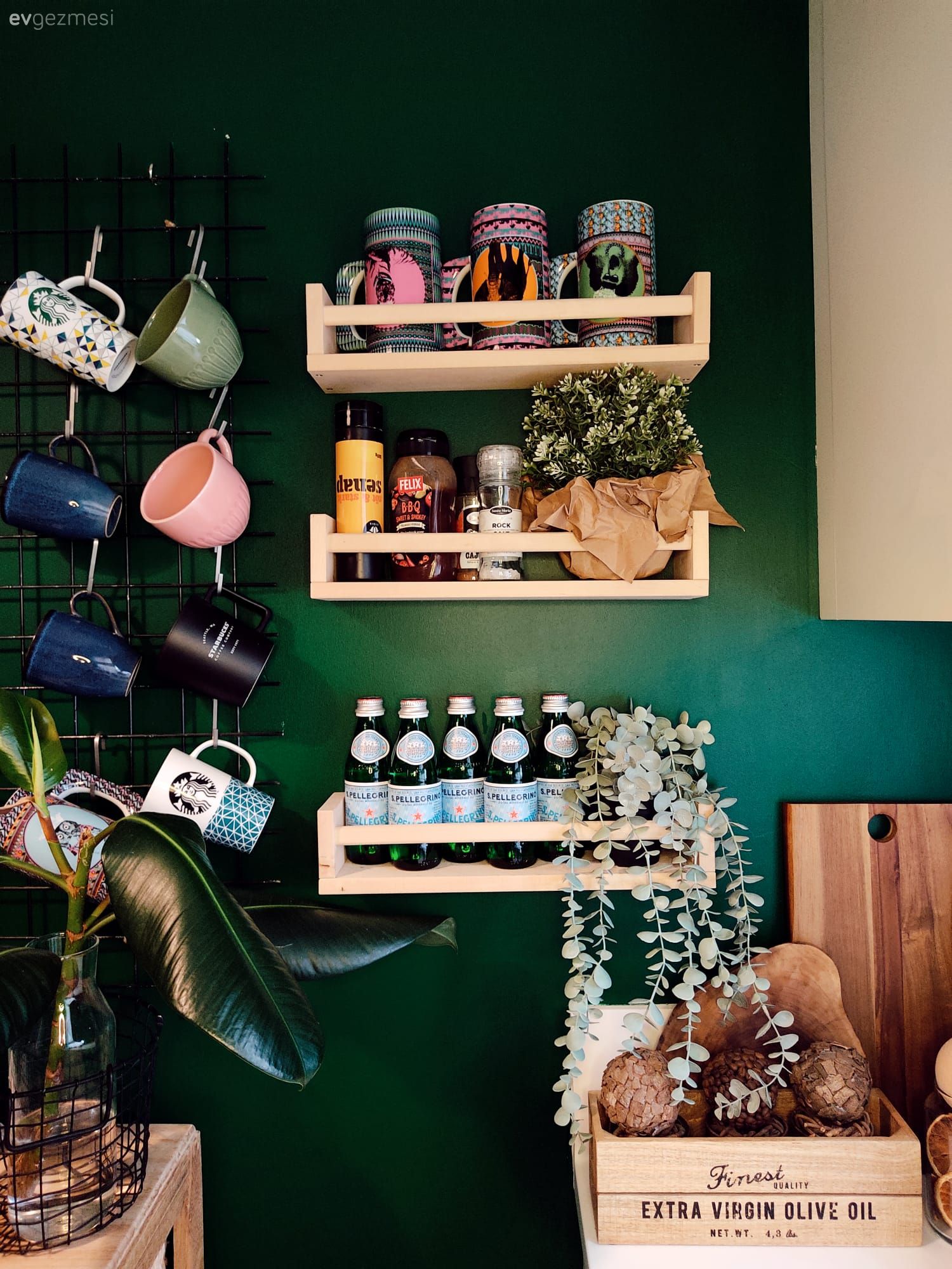 Yeşil duvar, Mutfak duvar dekorasyonu, Mutfak rafı, Mutfak, Ev bitkisi