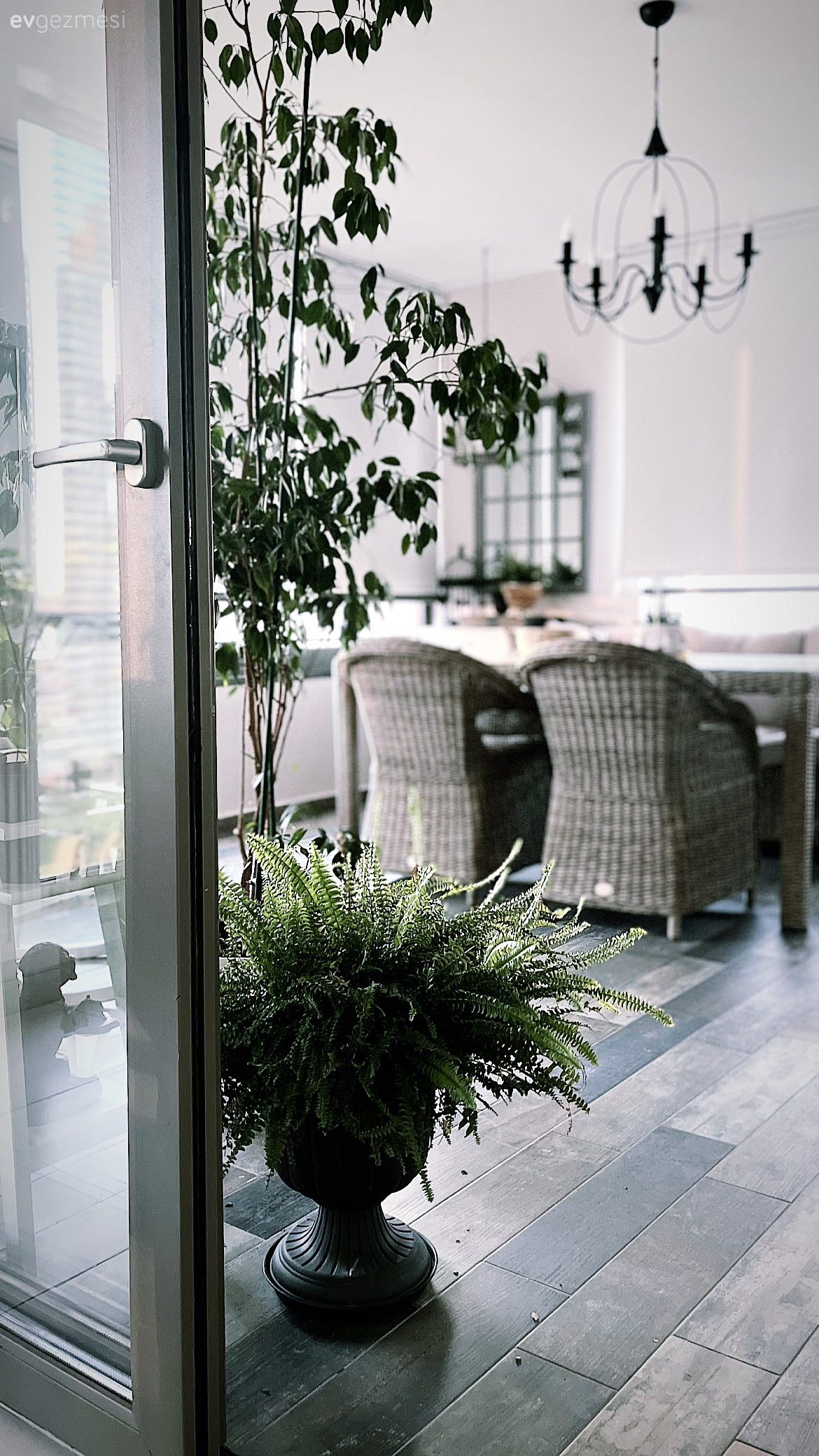 Balkon, Ev bitkisi, Balkon masası, Sandalye, Balkon avizesi