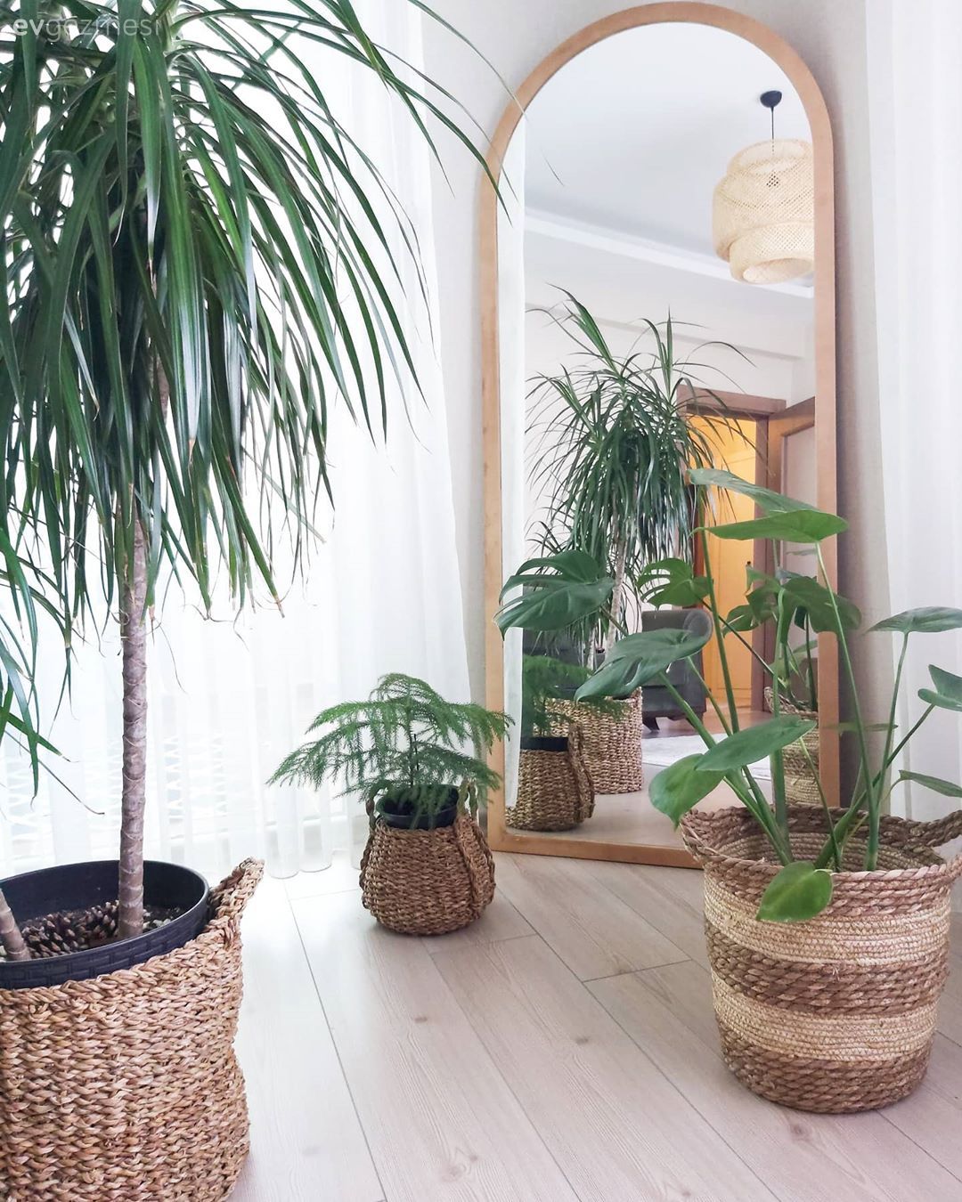 Hasır sepet, Hasır, Ev bitkisi, Boy aynası, Ayna, Beyaz, Antre avizesi