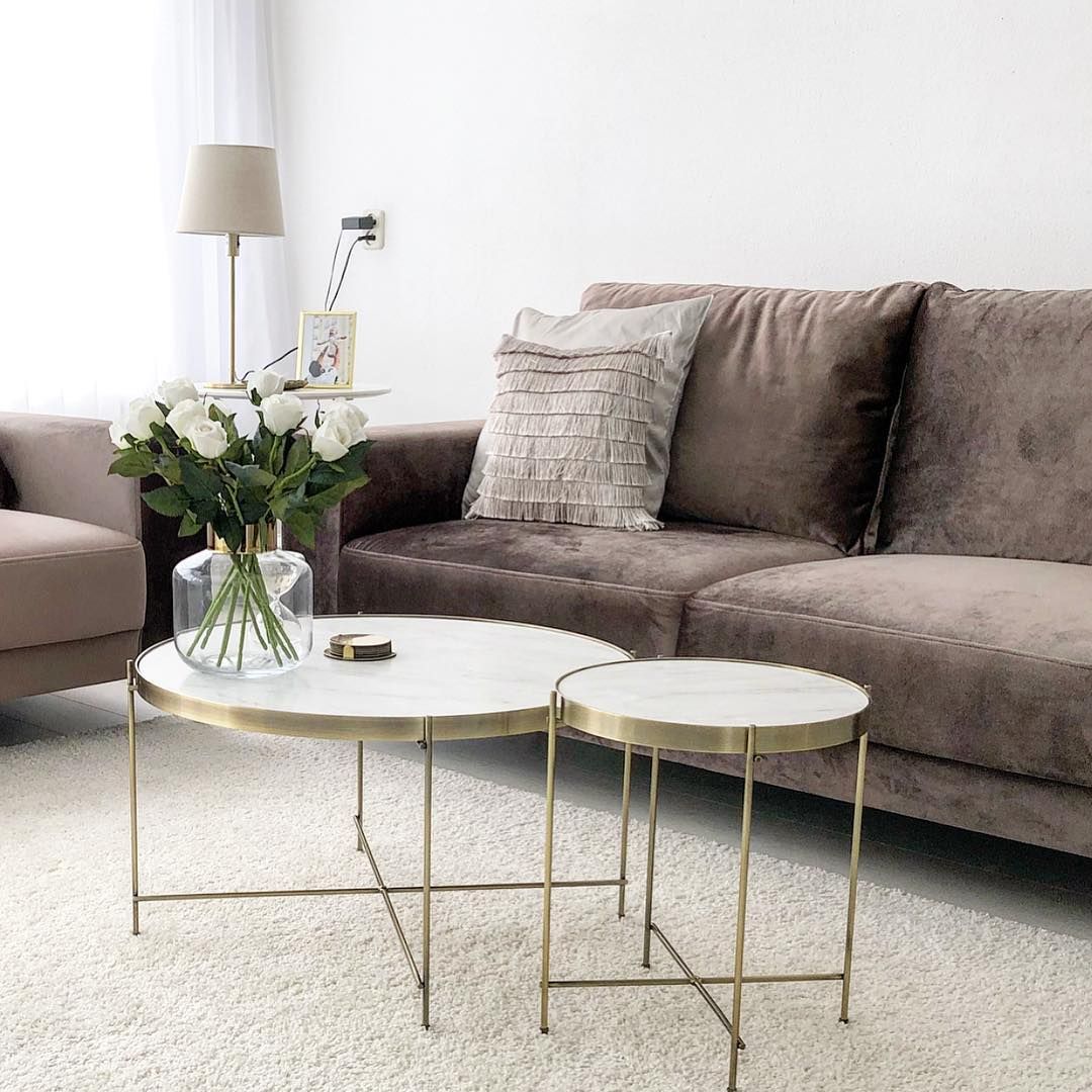 Kahverengi, Salon, Beyaz, Koltuk takımı, Altın, Orta sehpa, Yan sehpa, Sehpa, Abajur, Aydınlatma, Kırlent, Halı, Salon halısı, Ev bitkisi