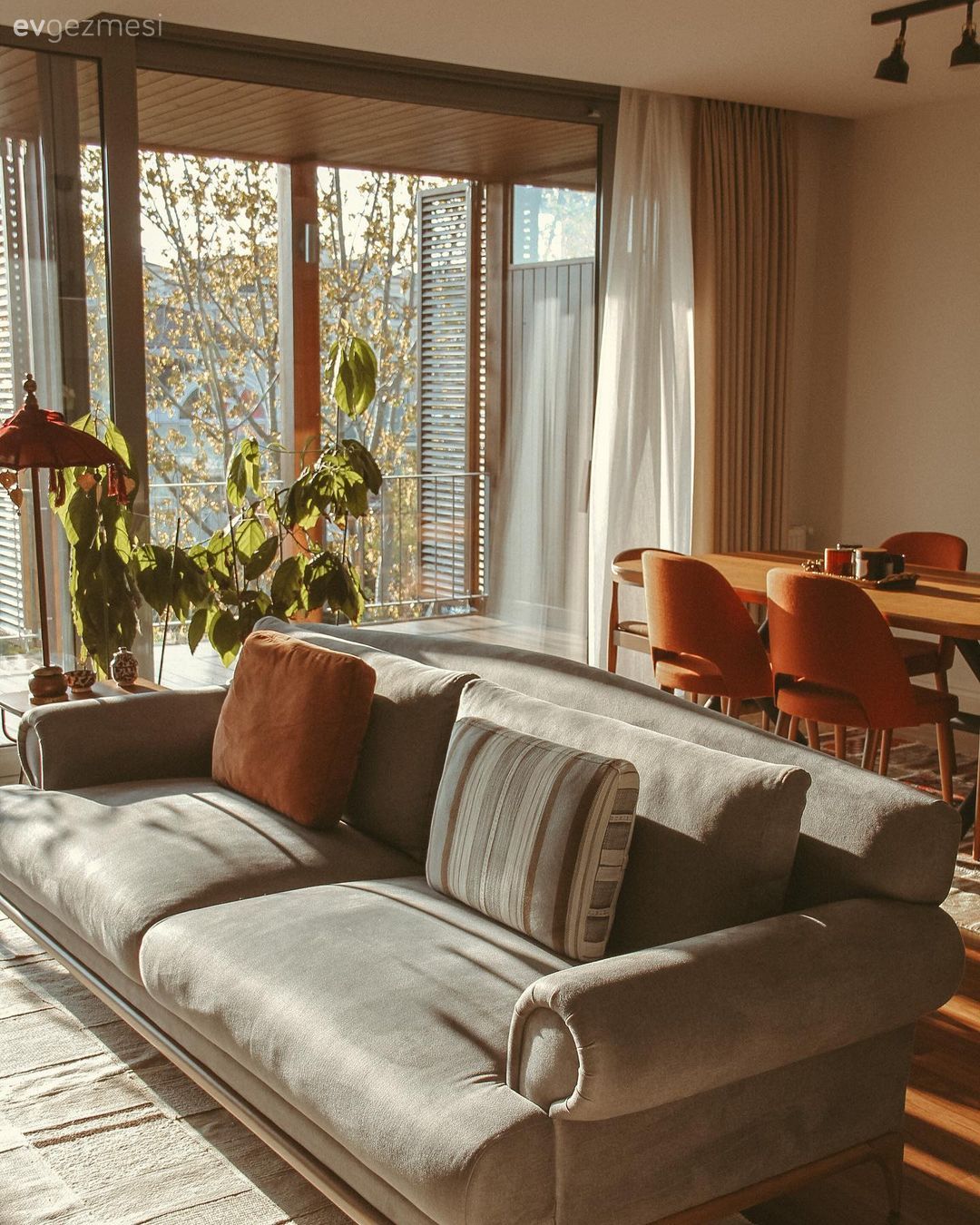 Koltuk takımı, Turuncu, Beyaz, Sandalye, Ahşap masa, Yemek masası, Fon perde, Perde, Tül perde, Ev bitkisi, Kırlent, Ev tekstili, Halı, Salon halısı, Bej