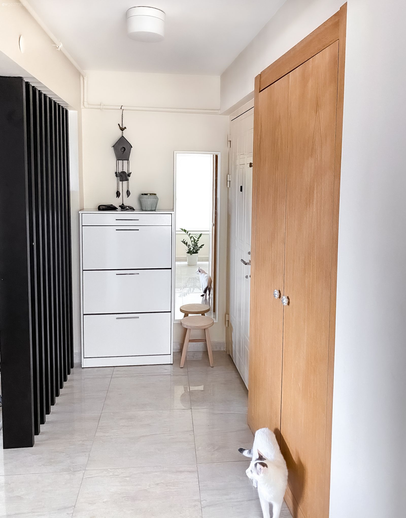 Antre, Ahşap panel, Siyah, Beyaz, Dresuar, Ayna, Boy aynası