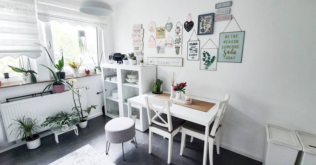 Mutfak masası, Sandalye, Beyaz, Mutfak duvar dekorasyonu, Ev bitkisi, Dolap, Mutfak halısı, Mutfak, Avize, Aydınlatma