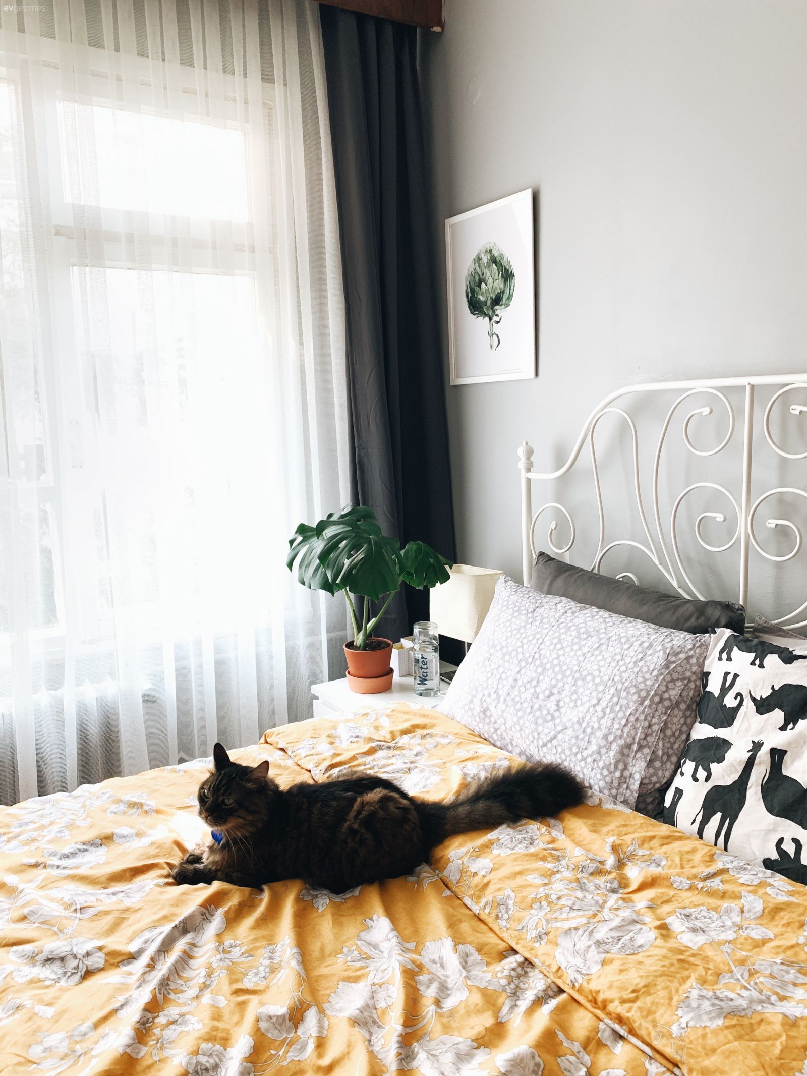 Yatak Odası, Beyaz, Sarı, Fon perde, Perde, Tül perde, Yatak başlığı, Ev bitkisi, Yatak örtüsü