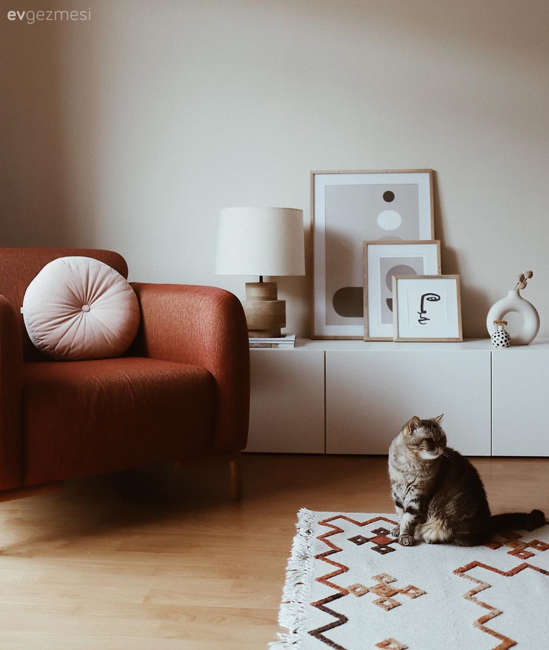 Beyaz, Turuncu, Berjer, Tv ünitesi, Tv ünitesi aksesuarları, Ev Aksesuar, Halı, Salon halısı, Tablo, Duvar dekorasyonu, Abajur, Aydınlatma, Desenler