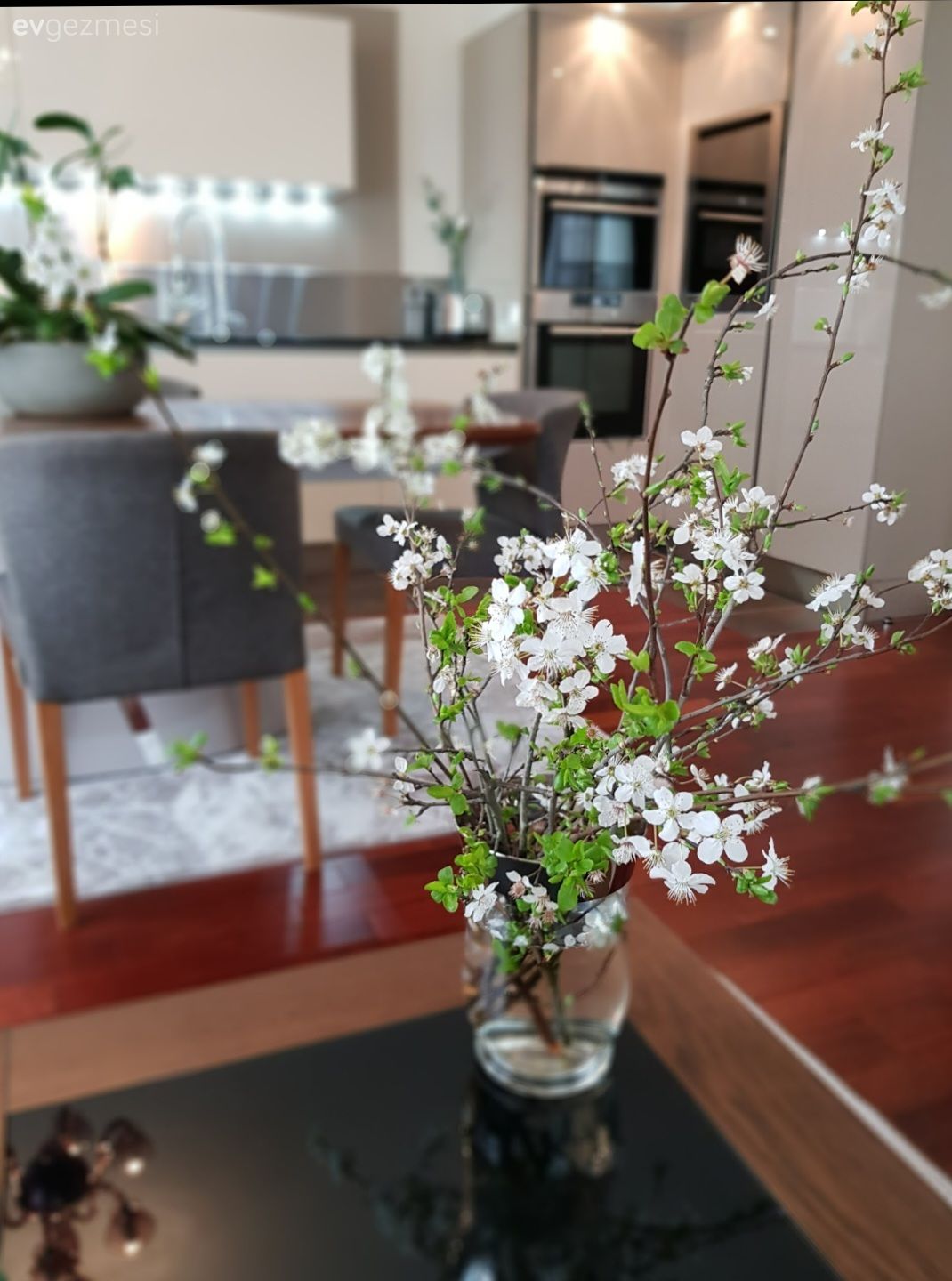 Mutfak, Modern mutfak, Beyaz, Siyah, Ankastre, Mutfak tezgahı, Mutfak masası, Sandalye, Gri, Vazo, Ev Aksesuar, Çiçekler