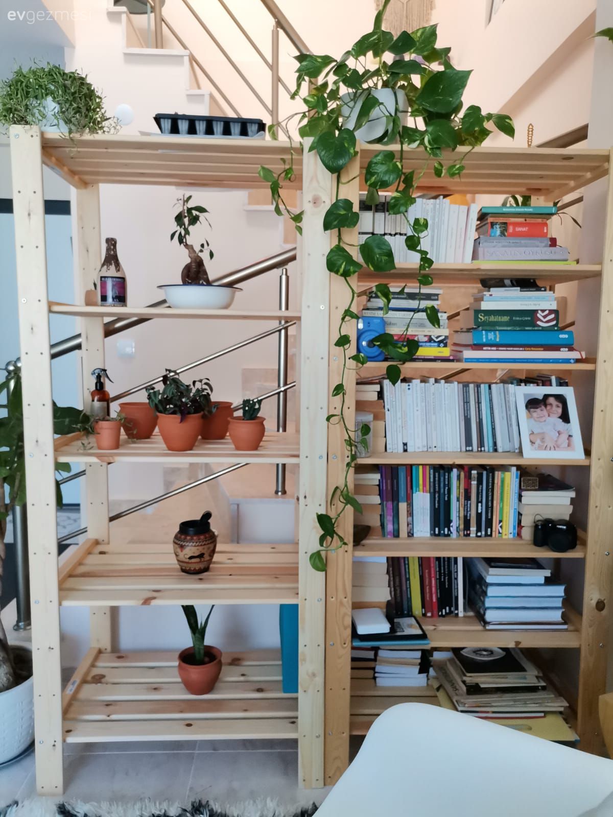 Kitaplık, Bohem Dekorasyon, İskandinav, Ev bitkisi, Dekoratif Objeler, Berjer